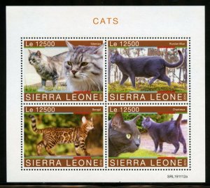 SIERRA LEONE 2019 CATS SHEET MINT NH