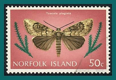 Norfolk Island 1977 Butterflies Moths 2, 50c used #215,SG193