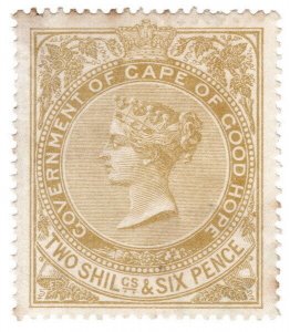 (I.B) Cape of Good Hope Revenue : Stamp Duty 2/6d (1885) watermark error