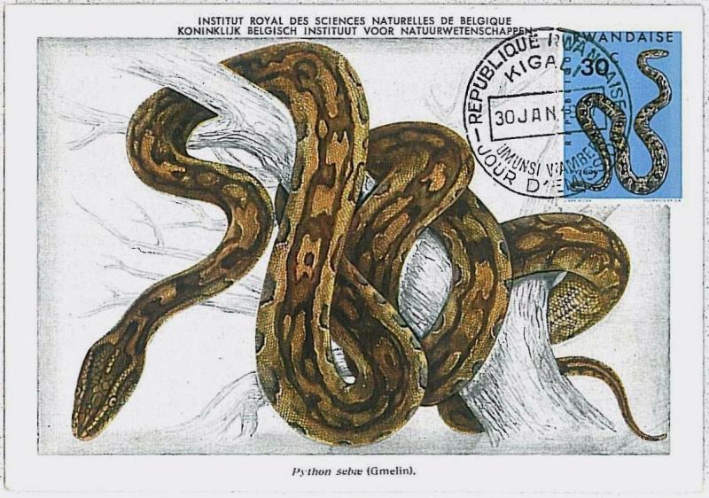 MAXIMU CARD - Fauna REPTILES snake : RWANDA 1967  #1