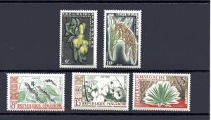 Malagasy 311-315 MLH