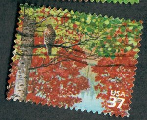 3899b Deciduous Forest used Single