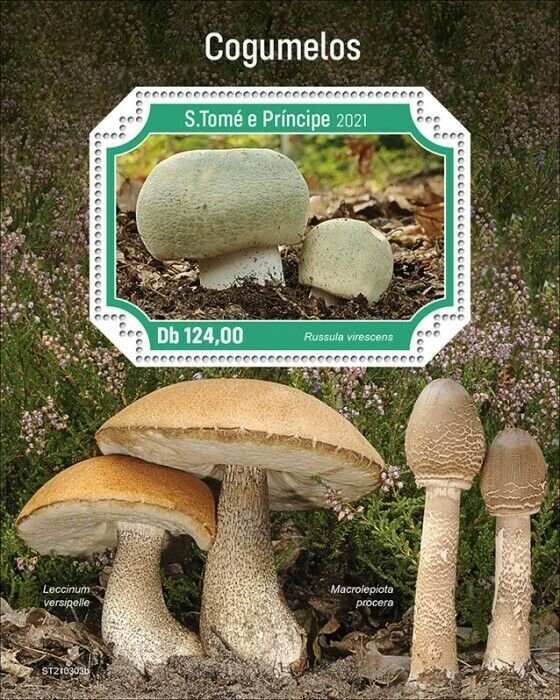 Sao Tome & Principe 2021 MNH Mushrooms Stamps Russula Fungi Nature 1v S/S