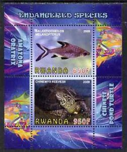 RWANDA - 2009 - Pond Turtles and Shark - Perf 2v Sheet - MNH - Private Issue