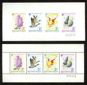 HUNGARY 1964 STAMP DAY & TOPICAL EXHIBIT Horizontal SS Perf. & IMPERF. MNH