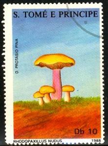 Mushroom, St. Thomas & Prince Islands stamp SC#820a used