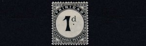 TRINIDAD  1905 - 06  SG   D10   SLATE BLACK  MH  