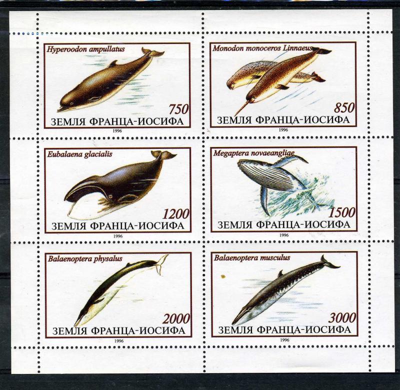 Karakalpakia 1999 (Russia Local Stamp) FISH Sheet Perforated Mint (NH)