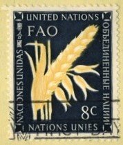 United Nations, - SC #24 - USED - 1954 - Item UNNY158