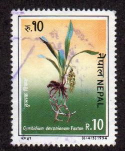 Nepal 550c - Used - Devon's Cymbium Orchid (cv $1.00)