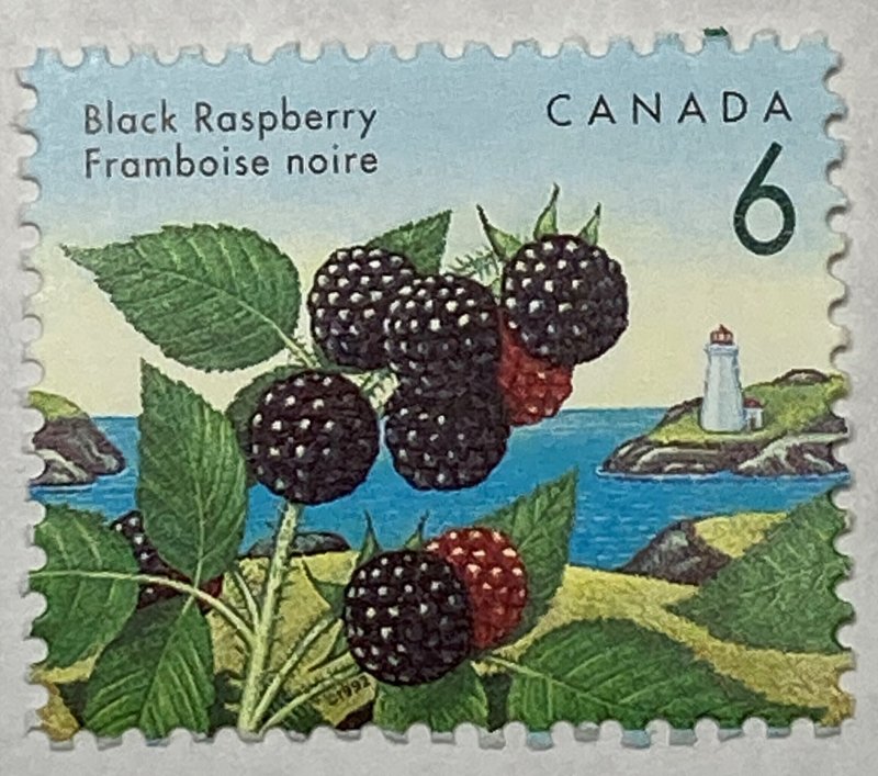 CANADA 1992-1998 #1353 Edible Berries Definitives - MNH