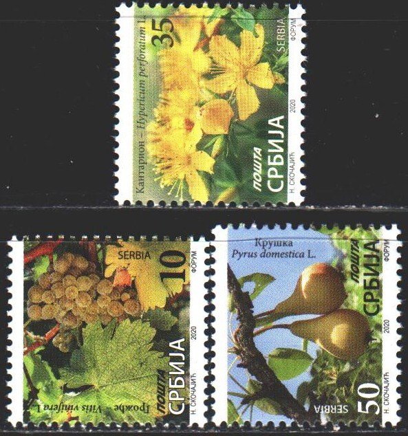 Serbia. 2020. Grapes, pears, flowers, flora. MNH.