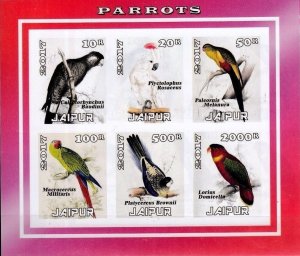 INDIA, JAIPUR - 2017 - Parrots #2 - Imperf 6v Sheet - Mint Never Hinged