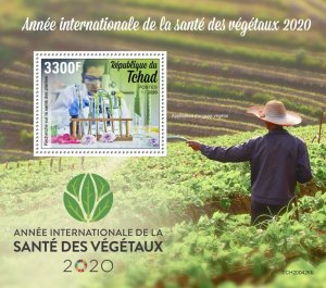 CHAD - 2020 - Year of Plant Health - Perf Souv Sheet - Mint Never Hinged