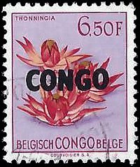CONGO DR   #335 USED (1)