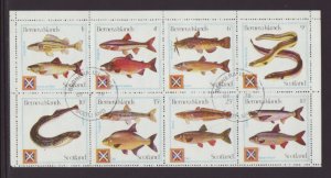 Bernera Islands Fish CTO VF