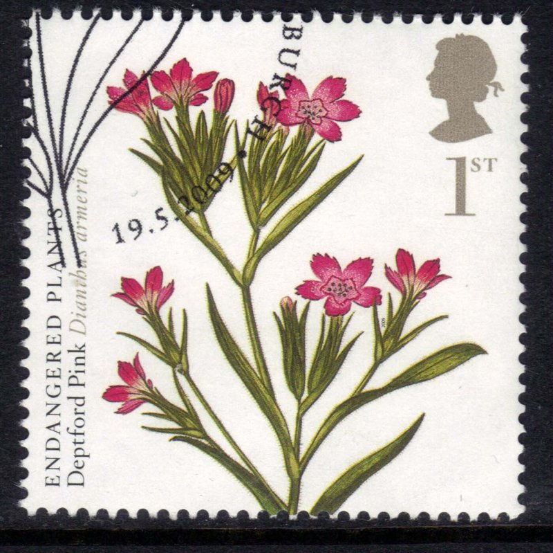 GB 2009 QE2 1st Action for Species Plants Deptford Pink Ex Fdc SG 2940 ( E916 )