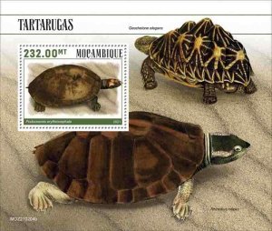 Mozambique - 2021 Red-headed River Turtle - Stamp Souvenir Sheet - MOZ210204b