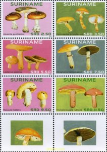 723744 MNH SURINAM 2014 SETAS