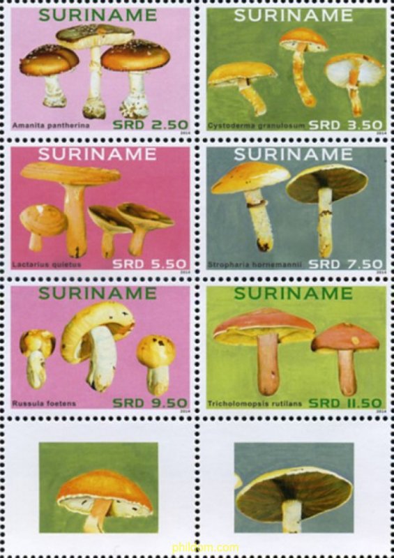 723744 MNH SURINAM 2014 SETAS