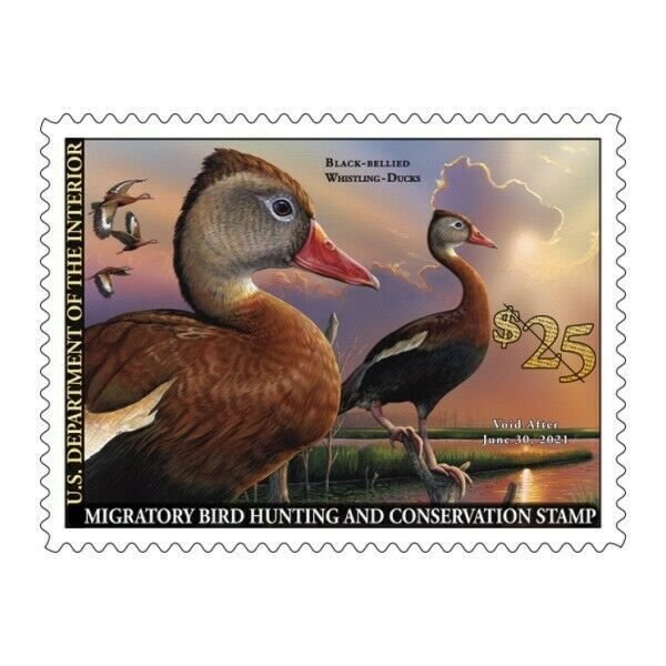 Mac's #RW87 2020 - US Federal Duck Stamp Mint OGNH FREE MOUNT & ALBUM su...