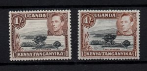 British KUT 1938-54 1/- SG145A & SG145B mint MNH WS29645