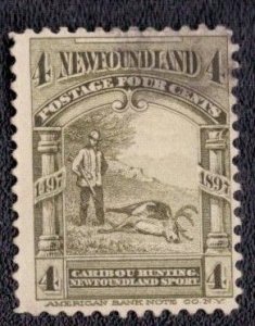 Canada Newfoundland - 64 1899 Used