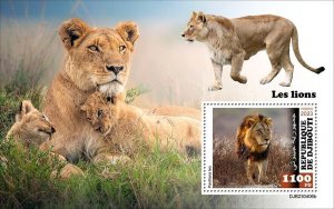 2024 05-DJIBOUTI - LIONS          1V  complet set    MNH ** T