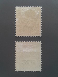 Portuguese Guinea 13,16 F-VF mint hinged. Scott $ 4.90