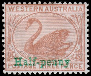 Western Australia Scott 71, Perf. 14 (1895) Mint LH F-VF, CV $13.00 M