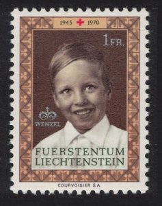 Liechtenstein 25th Anniversary of Liechtenstein Red Cross 1970 MNH SG#524