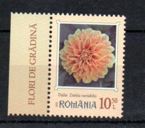 ROMANIA - 2022 - FLOWERS - DAHLIA VARIABILIS - 10,50L -