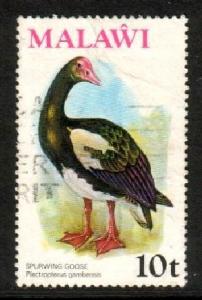 Bird, Spurwing Goose, Malawi stamp SC#238 used