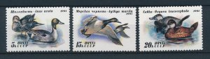 [25828] Russia 1994 �Birds vogels oiseaux �uccelli  MNH