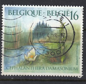 Belgium 1994  White helleborine Sc 1563 Mi 2625 Yt.2573 used