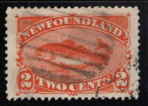 NEWFOUNDLAND Scott 48 Red Orange Codfish margin thin at right, wrinkled Pretty