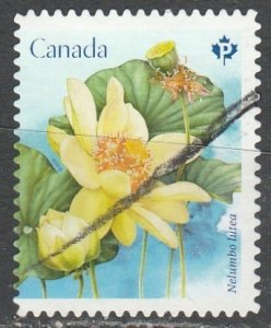 Canada   3091     (O)     2018