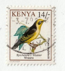 Kenya        606          used
