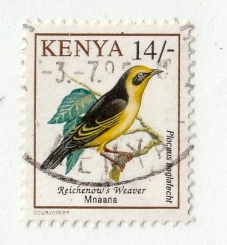 Kenya        606          used