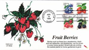 #3294-97 Fruit Berries Dynamite FDC