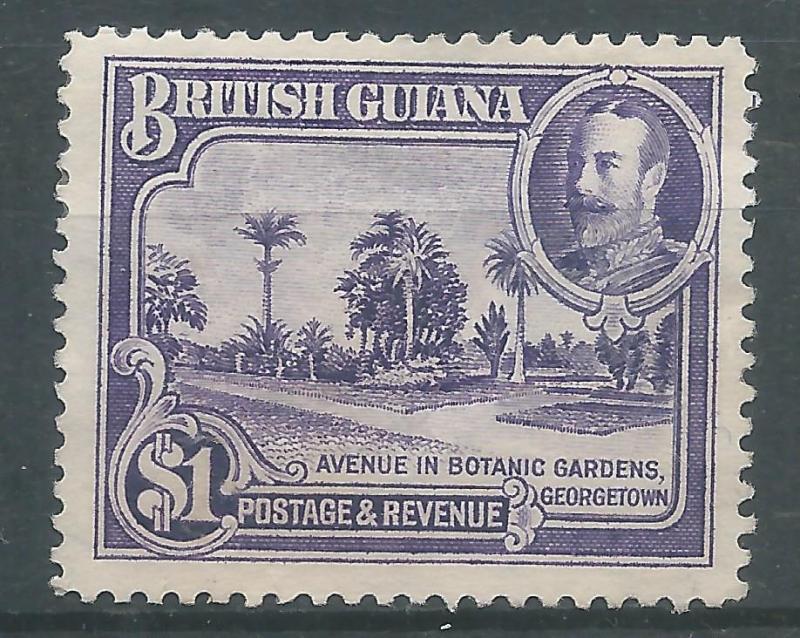 Br. Guiana 222 H