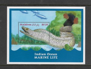 FISH - MALDIVES #2488 MORAY EEL  MNH