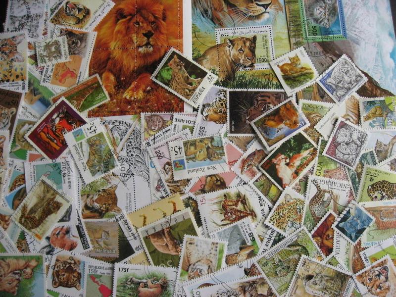 WILD CATS over 85 different + 4 SS. Some postally used, check them out!