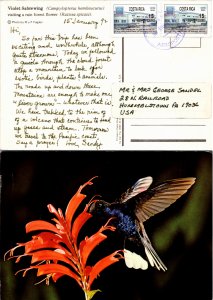 Costa Rica, Picture Postcards