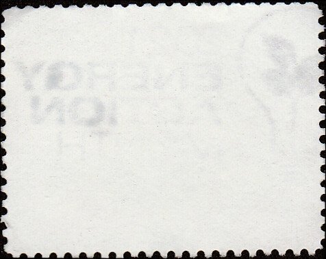 # 1764 USED GIANT SEQUOIA