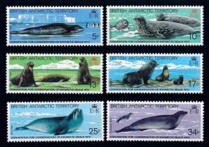 [64688] British Antarctic Territory 1983 Marine Life Elephant Seals  MLH