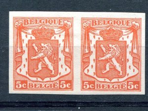 Belgium imperforated pair VF