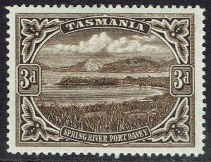 TASMANIA 1899 SPRING RIVER 3D WMK MULTI TAS