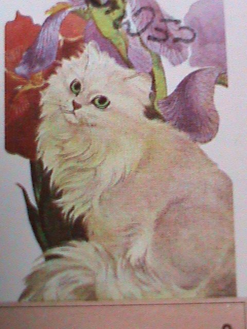 ​OMAN-1973-FAMOUS LOVELY CHINCHILLA CAT-IMPERF- CTO S/S-1ST DAY ISSUED CANCEL