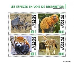 Togo Wild Animals Stamps 2020 MNH Endangered Species Rhinos Monkeys Pandas 4v MS